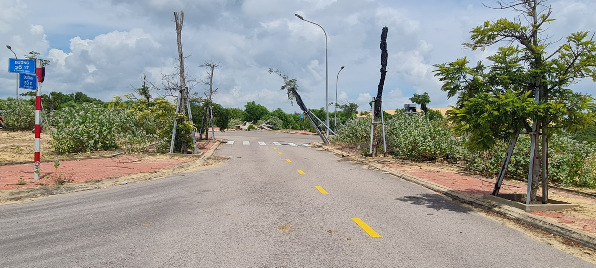 Một nhân viên môi giới bất động sản tên D. cho biết, cách đây vài năm, đất nền khu vực Kỳ Co Quy Nhơn này rất "sốt", mỗi ngày sàn giao dịch bất động sản của anh "chốt đơn" cả chục lô. Hầu hết khách mua đất nền ven biển Quy Nhơn là dân ngoại tỉnh, chủ yếu từ Hà Nội, TP HCM, Đà Nẵng... Họ mua để đầu tư, chứ không phải để ở.