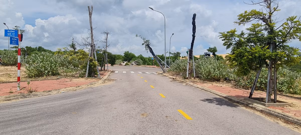 Một nhân viên môi giới bất động sản tên D. cho biết, cách đây vài năm, đất nền khu vực Kỳ Co Quy Nhơn này rất "sốt", mỗi ngày sàn giao dịch bất động sản của anh "chốt đơn" cả chục lô. Hầu hết khách mua đất nền ven biển Quy Nhơn là dân ngoại tỉnh, chủ yếu từ Hà Nội, TP HCM, Đà Nẵng... Họ mua để đầu tư, chứ không phải để ở.