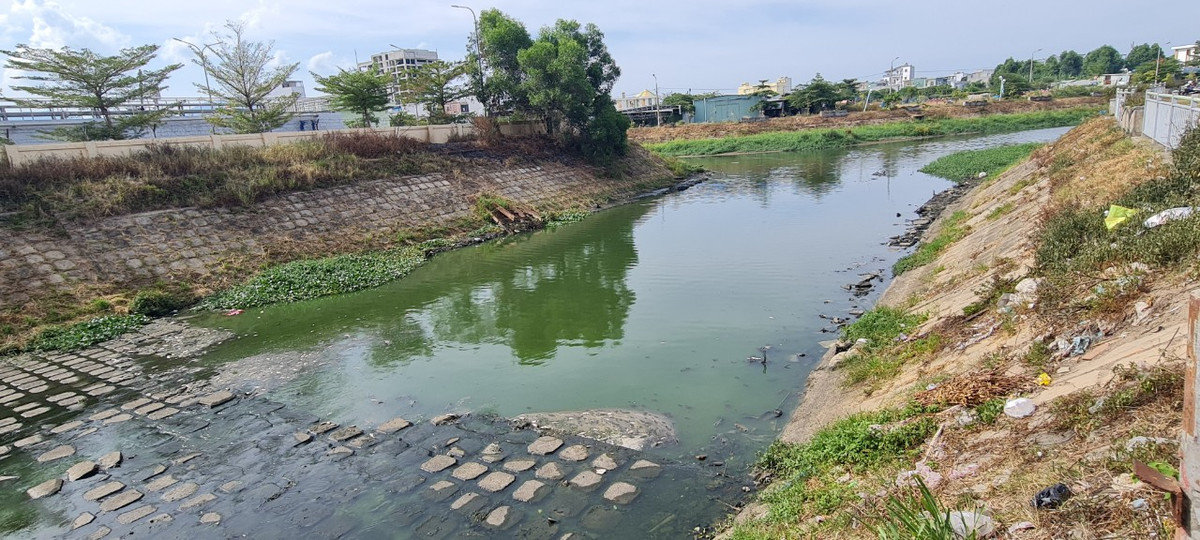 Da Nang: Ca chet trang kenh canh tram xu ly nuoc thai