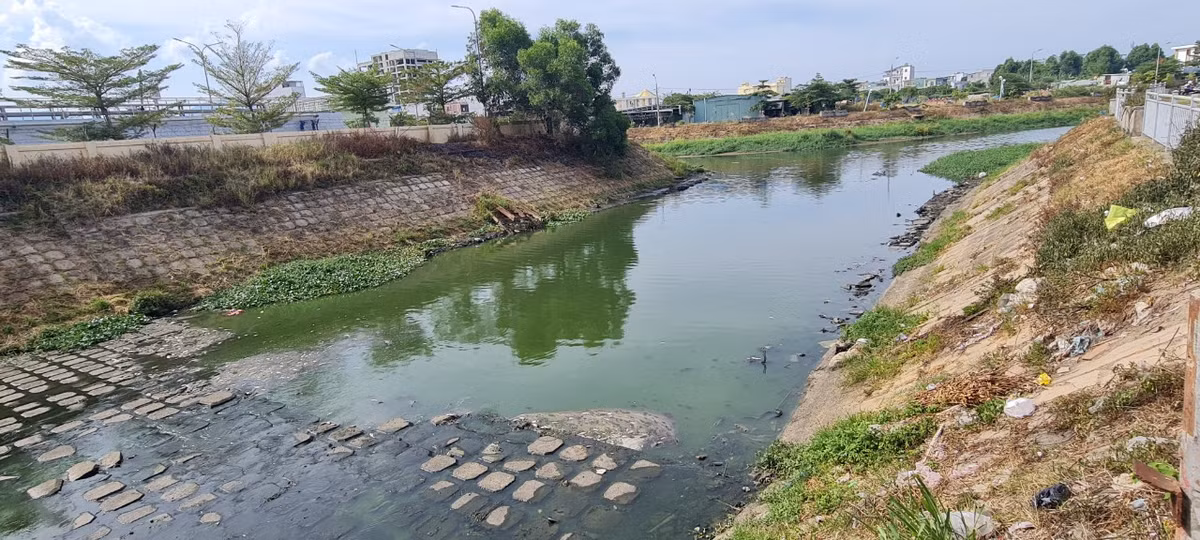 Da Nang: Ca chet trang kenh canh tram xu ly nuoc thai