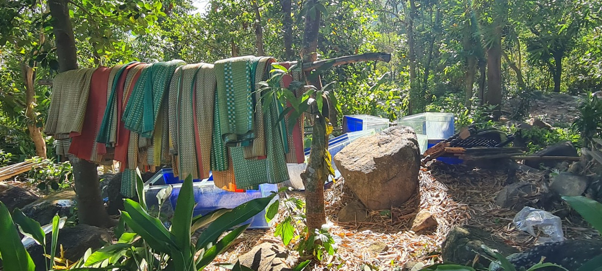 Từ những tấm chiếu "hết thời"...