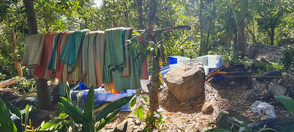 Từ những tấm chiếu "hết thời"...