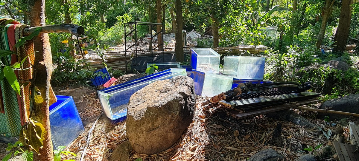 ...cho đến những bể nuôi chứa thủy hải sản tươi sống mà chủ các công trình bị tháo dỡ không buồn thu gom.