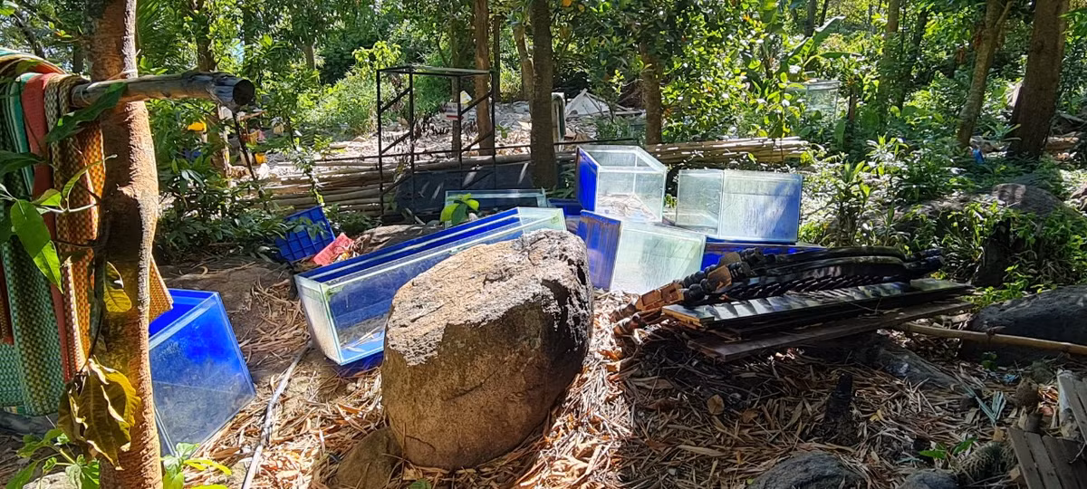 ...cho đến những bể nuôi chứa thủy hải sản tươi sống mà chủ các công trình bị tháo dỡ không buồn thu gom.