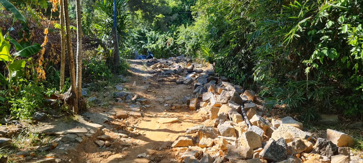 Con đường mòn ở bán đảo Sơn Trà sau hơn 1 tháng lực lượng chức năng quận Sơn Trà và phường Thọ Quang ra quân cưỡng chế, tháo dỡ các công trình xây dựng trái phép khiến du khách ngỡ ngàng.