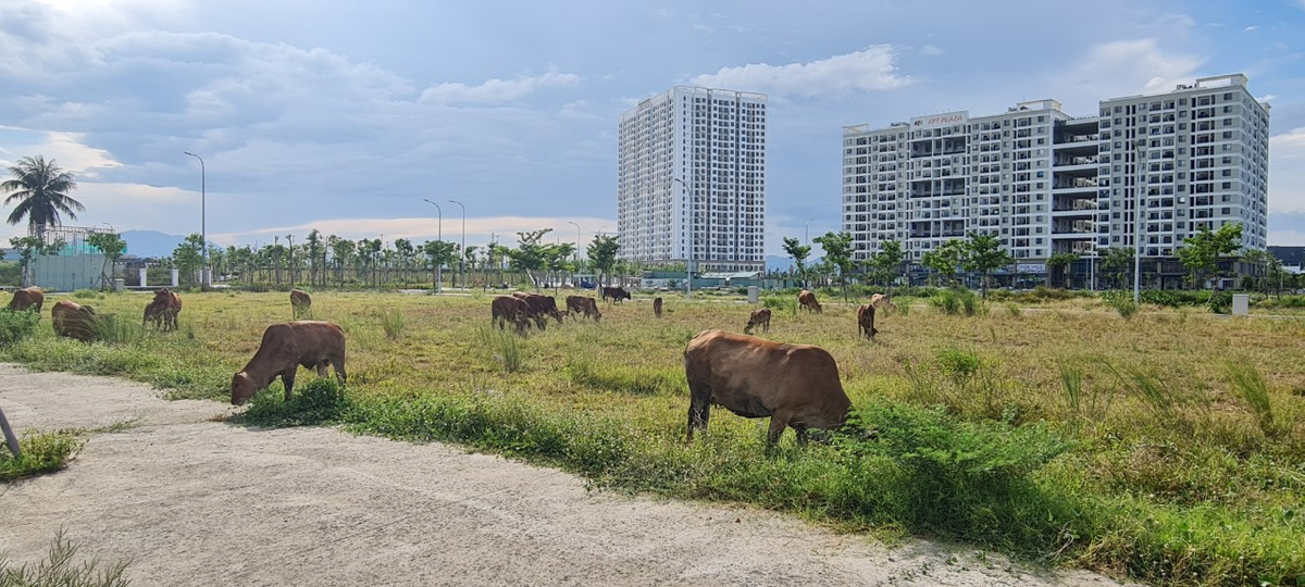 Được giới thiệu là dự án có vị trí tuyệt đẹp ” Đất phú- Trời an ” khi vừa sở hữu mặt tiền sông Cổ Cò thơ mộng, lại phi thẳng ra bãi tắm Biển Đông, ngay cạnh FPT Plaza, giá đất nền tại Khu đô thị FPT Đà Nẵng hiện đã giảm gần "chạm đáy" nhưng vẫn không có giao dịch.