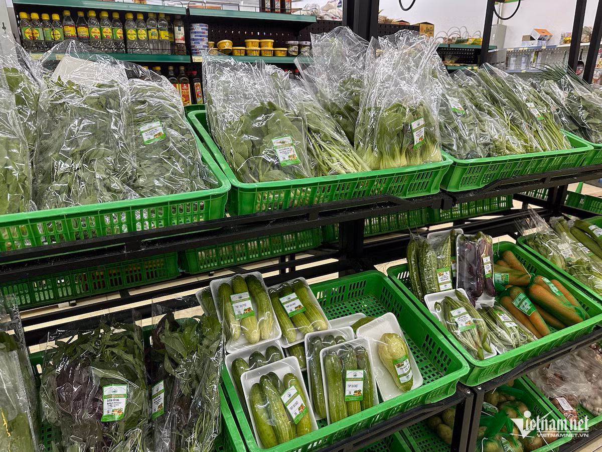 Nông dân xót xa nhìn tiền tỷ 'bay’ theo bão Yagi - Hình 2 Nong dan xot xa nhin tien ty 'bay’ theo bao Yagi-Hinh-2