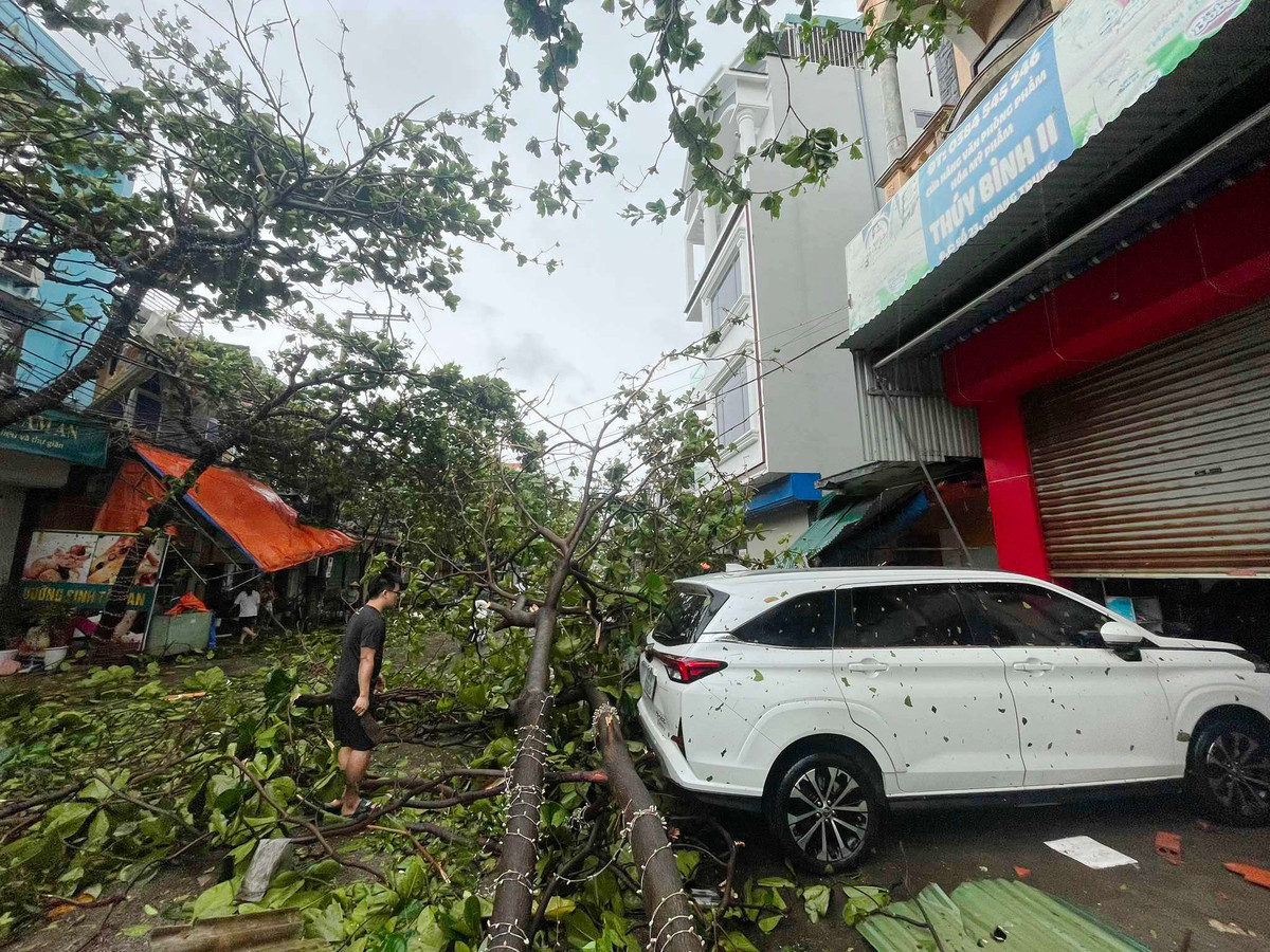 Bão số 3 Yagi làm 8 người chết, tài sản thiệt hại nặng nề - Hình 2 Bao so 3 Yagi lam 8 nguoi chet, tai san thiet hai nang ne-Hinh-2