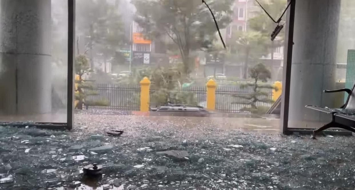 Bão số 3 Yagi làm 8 người chết, tài sản thiệt hại nặng nề - Hình 4 Bao so 3 Yagi lam 8 nguoi chet, tai san thiet hai nang ne-Hinh-4