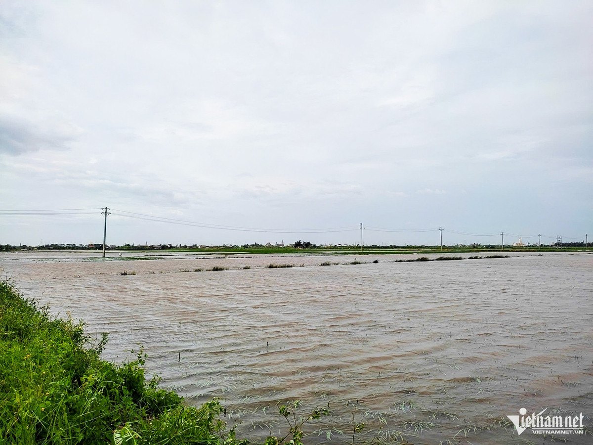 Nganh nong nghiep thiet hai nang ne do bao so 3-Hinh-2