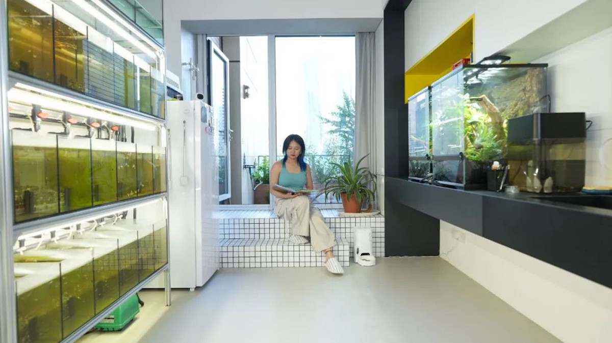 Biến căn tập thể cũ bố mẹ tặng thành nơi ở ngập nắng - Hình 2 Bien can tap the cu bo me tang thanh noi o ngap nang-Hinh-2