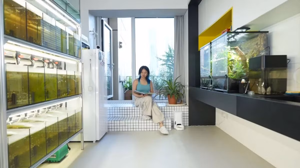 Biến căn tập thể cũ bố mẹ tặng thành nơi ở ngập nắng - Hình 2 Bien can tap the cu bo me tang thanh noi o ngap nang-Hinh-2