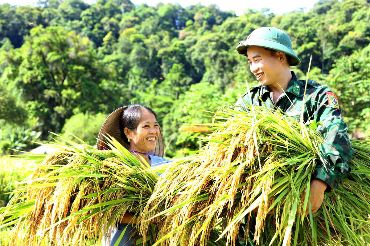 Bo doi Bien phong loi ruong gat lua ‘chay bao’ so 3 giup dan-Hinh-5