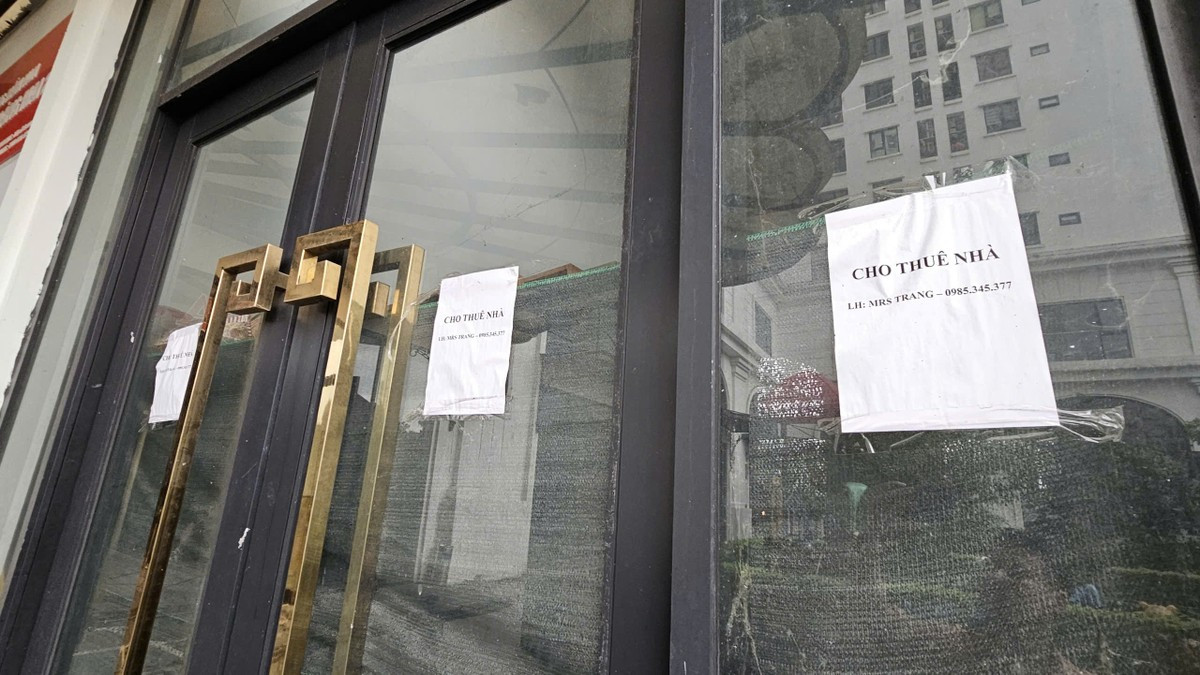 Shophouse nhieu du an tai Ha Noi e am-Hinh-4