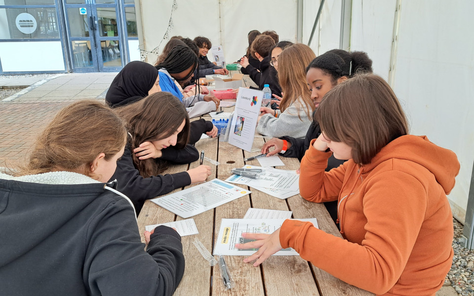 Nguoi Viet dau tien lam vien si Vien Han lam chau Au-Hinh-4