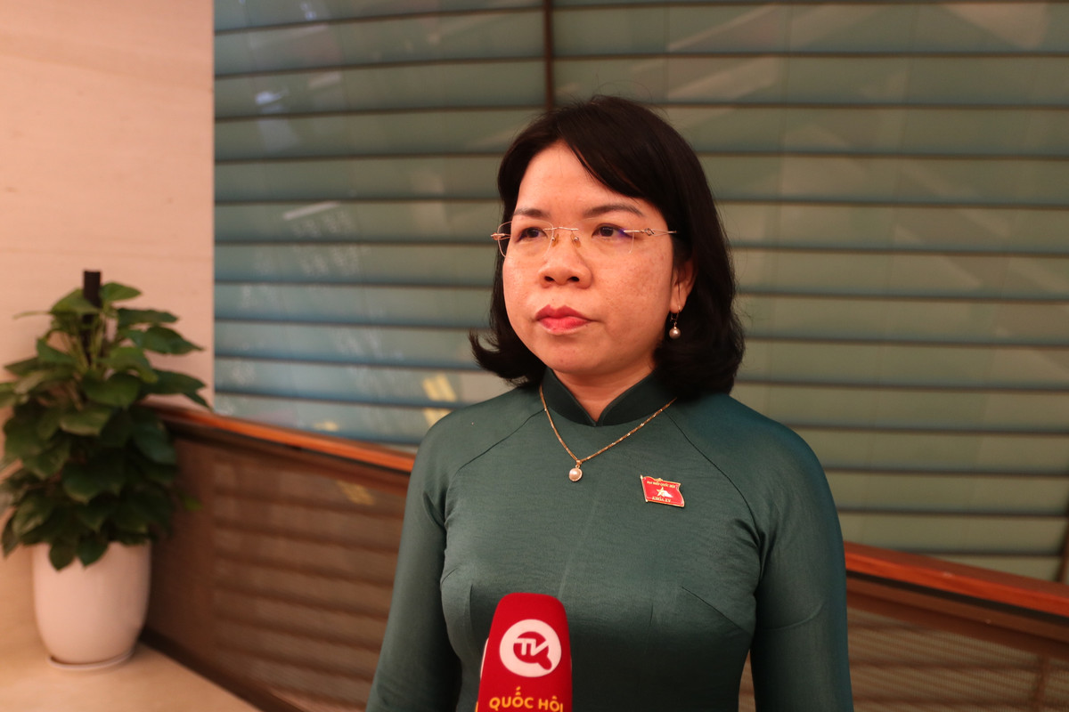 DBQH: Ky vong y kien dai bieu duoc tiep thu toi da trong hoan thien luat-Hinh-2