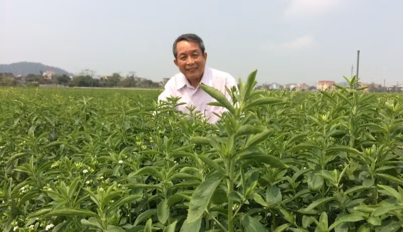 GS.VS Trần Đình Long: Mỗi nhà báo là một chiến sĩ trên mặt trận khoa học và công nghệ - Hình 4 GS.VS Tran Dinh Long: Moi nha bao la mot chien si tren mat tran khoa hoc va cong nghe-Hinh-4