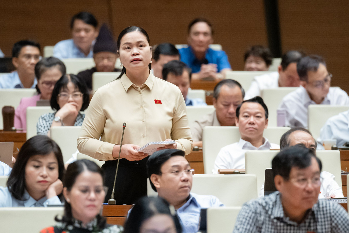 Tập đoàn Thuận An, Phúc Sơn không thuộc đối tượng kiểm toán - Hình 3 Tap doan Thuan An, Phuc Son khong thuoc doi tuong kiem toan-Hinh-3