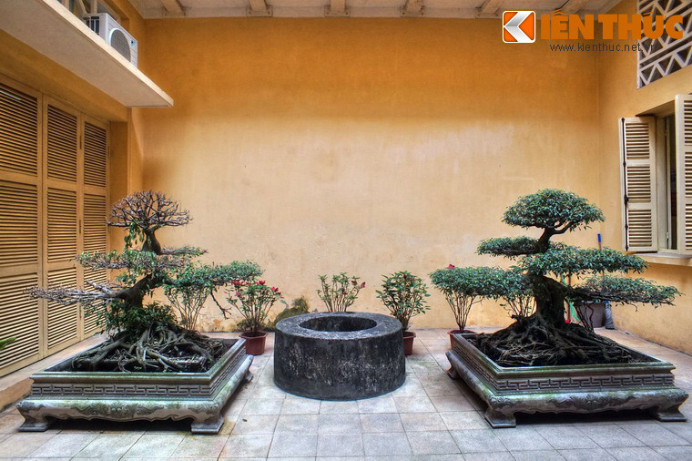 Các khối nhà tách biệt với nhau bằng giếng trời bài trí nhiều cây xanh, đem lại sự hài hòa giữa kiến trúc và thiên nhiên.