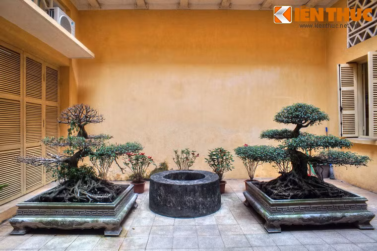 Các khối nhà tách biệt với nhau bằng giếng trời bài trí nhiều cây xanh, đem lại sự hài hòa giữa kiến trúc và thiên nhiên.