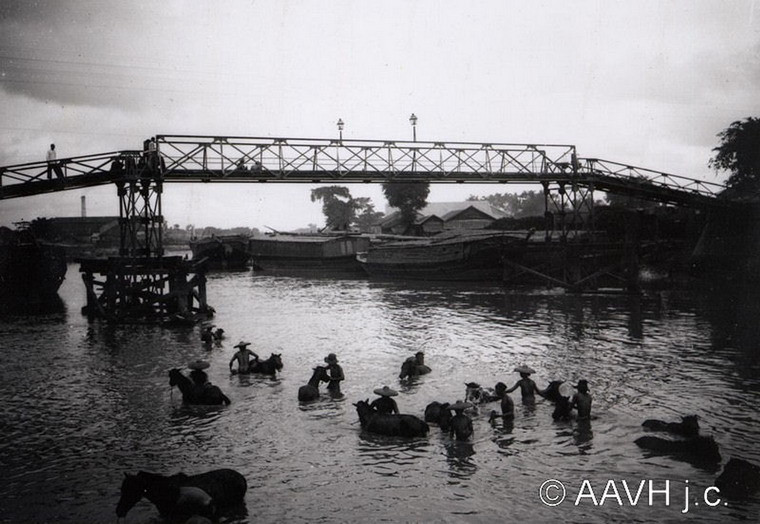 Cảnh tắm ngựa trên kênh Tàu Hủ, bên cầu Xóm Chỉ.