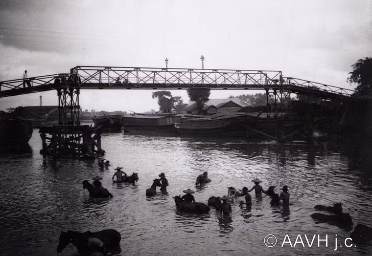 Cảnh tắm ngựa trên kênh Tàu Hủ, bên cầu Xóm Chỉ.