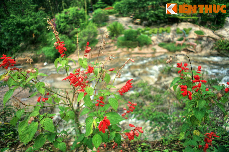 Có nhiều lý giải khác nhau về tên gọi thác Cam Ly và suối Cam Ly. Theo một lời kể được ghi lại, xưa kia có một vị tù trưởng người Cơ Ho tên K’ Mly có nhiều công lao nên dân trong vùng lấy tên ông đặt cho dòng suối để tưởng nhớ, sau này người Việt đọc trại thành Cam Ly.