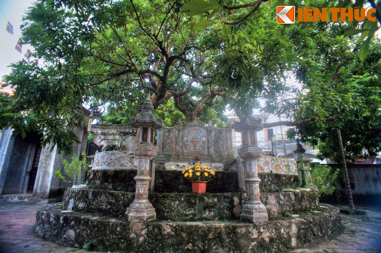 2. Nằm ở Phường Hồng Châu, TP Hưng Yên, chùa Hiến là một ngôi chùa cổ của mảnh đất Phố Hiến. Chùa cũng được biết đến như nơi lưu giữ một cây nhãn cổ thụ quý giá, được gọi là cây nhãn Tổ. Cây nhãn này có tuổi đời hơn 300 năm, là "tổ tiên" của giống nhãn lồng Hưng Yên nổi tiếng.