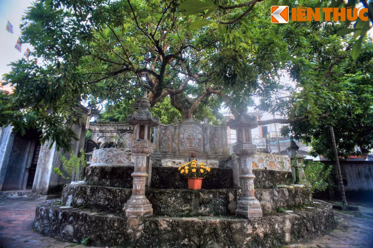 2. Nằm ở Phường Hồng Châu, TP Hưng Yên, chùa Hiến là một ngôi chùa cổ của mảnh đất Phố Hiến. Chùa cũng được biết đến như nơi lưu giữ một cây nhãn cổ thụ quý giá, được gọi là cây nhãn Tổ. Cây nhãn này có tuổi đời hơn 300 năm, là "tổ tiên" của giống nhãn lồng Hưng Yên nổi tiếng.