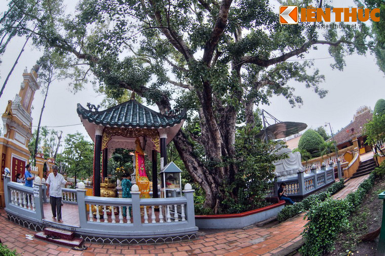 Trước sân chính điện có đặt tượng Quán Thế Âm Bồ Tát dưới bóng cây bồ đề. Đây là cây bồ đề do Đại đức Narada mang từ Sri Lanka sang trồng vào ngày 18/6/1953.