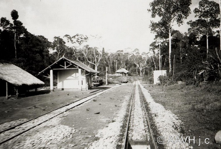 Đoạn đường sắt xuyên rừng trên tuyến đường sắt Sài Gòn - Hà Nội.