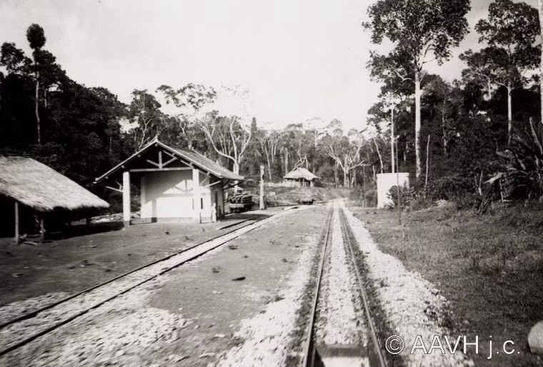 Đoạn đường sắt xuyên rừng trên tuyến đường sắt Sài Gòn - Hà Nội.