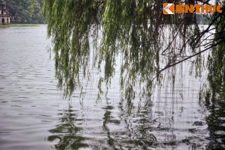 Hoặc những chiều thu đẹp như mơ, khi các cặp đôi hẹn hò trên ghế đá, cùng ngắm nhìn mặt hồ thơ mộng rợp bóng cây…