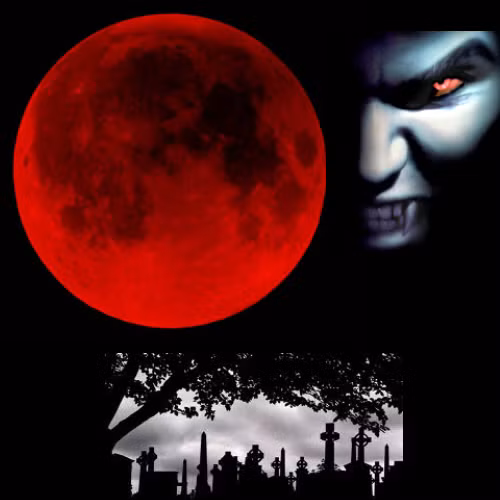 Kể từ đây, ma cà rồng Ambrogio săn thiên nga và sử dụng máu của chúng làm mực để viết thư tình cho nàng Selena.