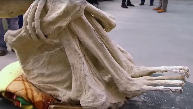 Tuy nhiên, xác ướp Maria có đặc điểm bất thường là cấu trúc xương sườn với một số xương hình bán nguyệt.