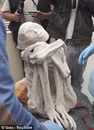 Sở dĩ một số người nghi ngờ xác ướp là thi hài của "người ngoài hành tinh" bởi chân tay người này chỉ có 3 ngón thay vì 5 ngón như người bình thường. Thêm nữa, người này có hộp sọ dài.