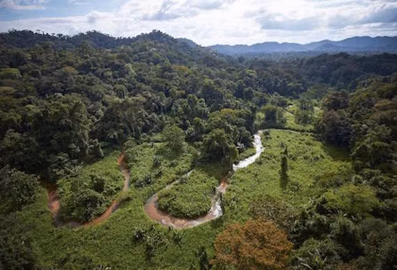 Trong số này đáng chú ý là việc thành phố của thần Khỉ được cho là nằm ẩn sâu trong một cánh rừng ở Nam Mỹ.