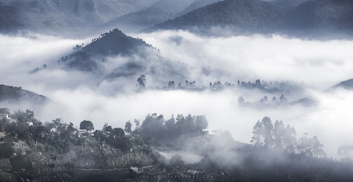 Không riêng thằn lằn, người dân địa phương còn cho hay nhìn thấy những quái thú bí ẩn khác xung quanh đảo Barsa-Kelmes như những con chim khổng lồ bay lượn trên bầu trời hay những con rắn biển bơi quanh đảo...