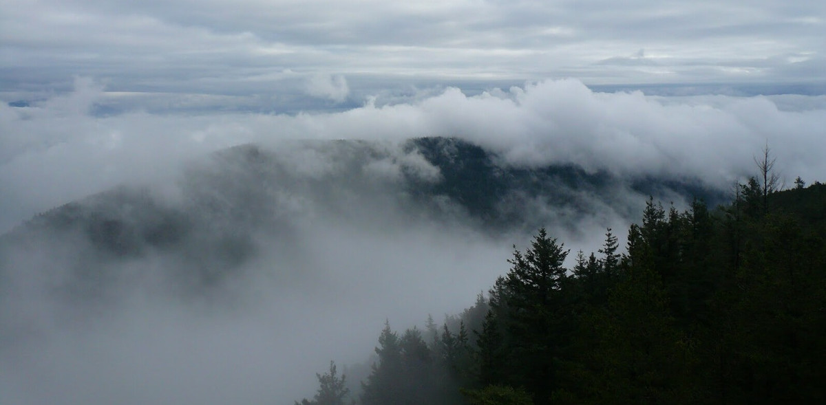 Người dân Kazakh cho hay những vụ mất tích bí ẩn trên là do loài thằn lằn bay thời cổ đại gây ra. Loài thằn lằn này được cho là đến từ một thế giới khác, chứ không phải ở Trái đất.
