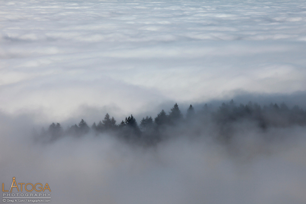 Một số người còn cho hay khi ở trên đảo có lúc cảm thấy thời gian trôi nhanh hơn nhưng cũng có lúc cảm nhận được thời gian trôi rất chậm.