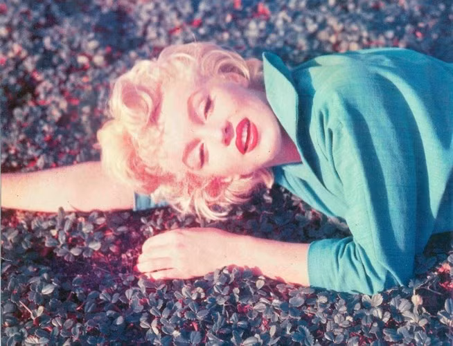 Theo tiết lộ của chồng cũ Monroe, nữ diễn viên này là người rất thích đọc sách. Cô có thể hiểu được những nội dung cơ bản đằng sau một cuốn sách khi chỉ mới đọc 10 trang sách đầu tiên.