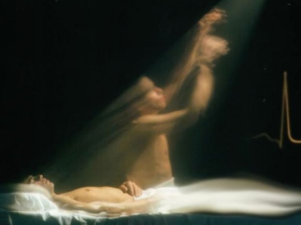 Trong số này, đáng chú ý là việc nhiều nhà khoa học thực hiện các nghiên cứu chuyên sâu và thu về kết quả đáng kinh ngạc.