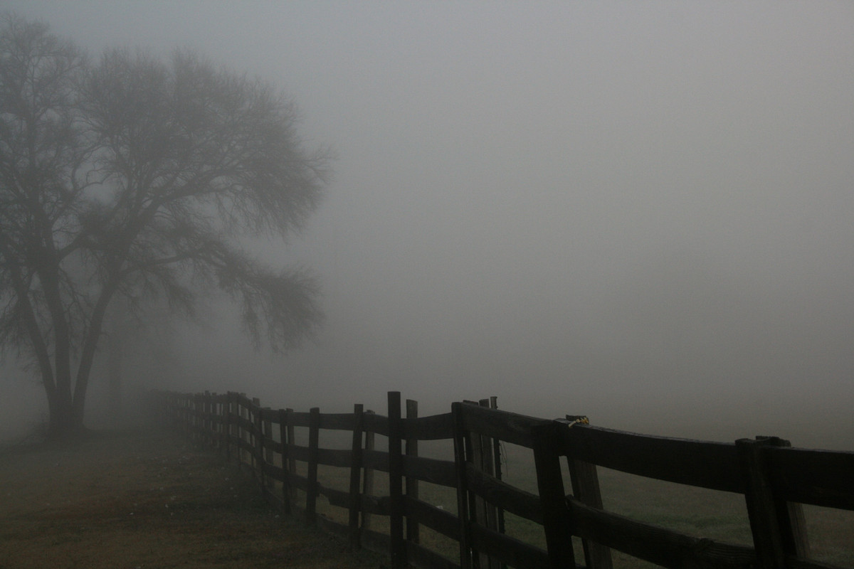 Theo giáo sư McCormick, trong năm 536, châu Âu, Trung Đông và một phần châu Á chìm trong bóng tối vì lớp sương mù dày đặc.