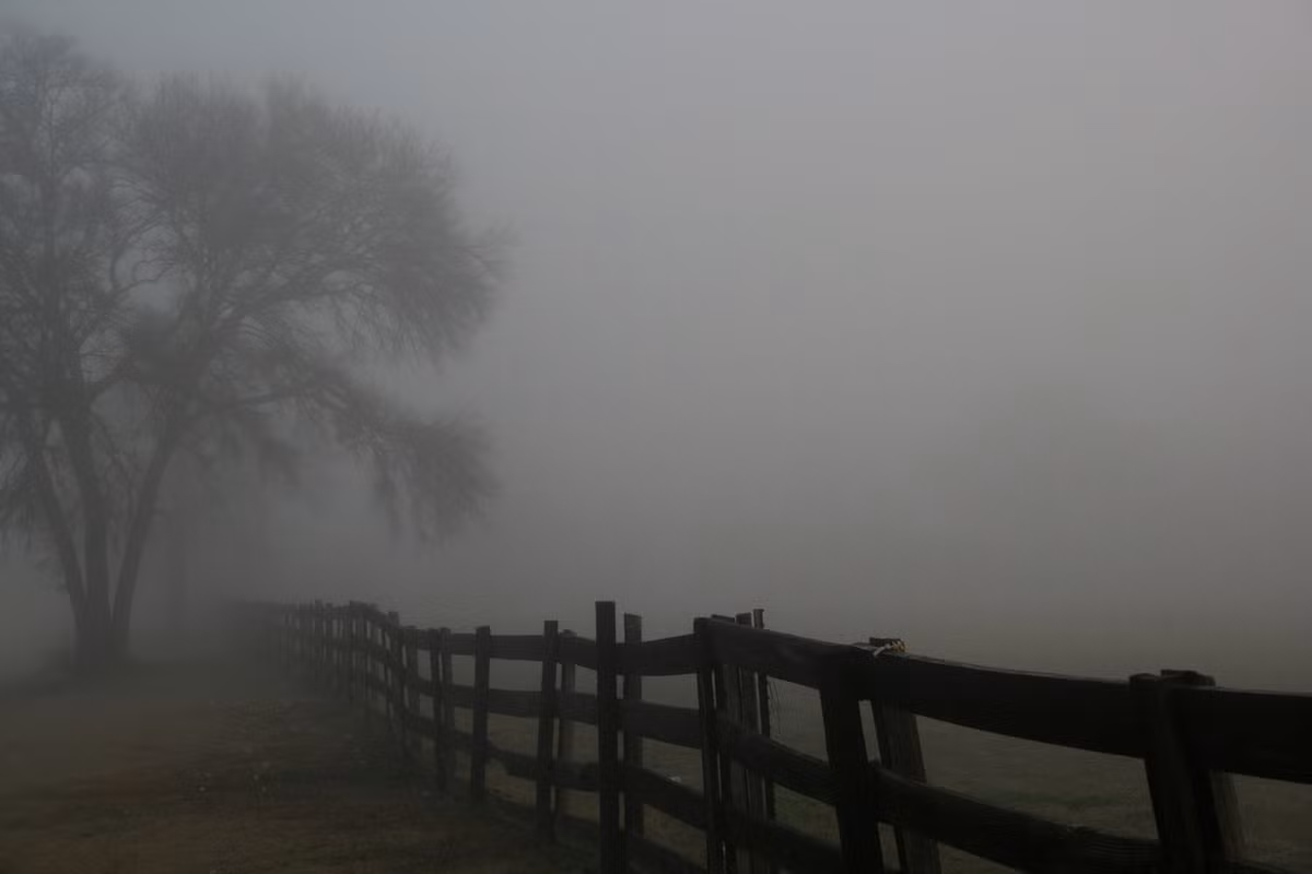 Theo giáo sư McCormick, trong năm 536, châu Âu, Trung Đông và một phần châu Á chìm trong bóng tối vì lớp sương mù dày đặc.