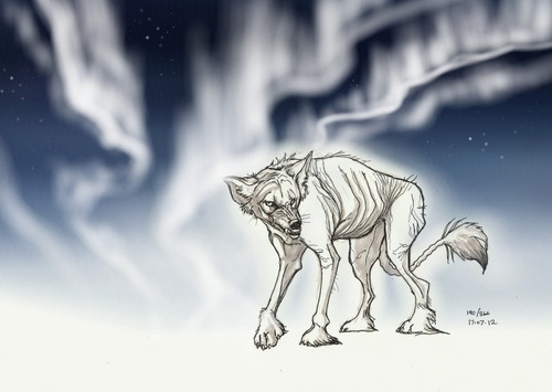 Cụ thể, chó "ma cà rồng" Qiqirn chỉ có lông ở chân, tai, đuôi và quanh miệng.