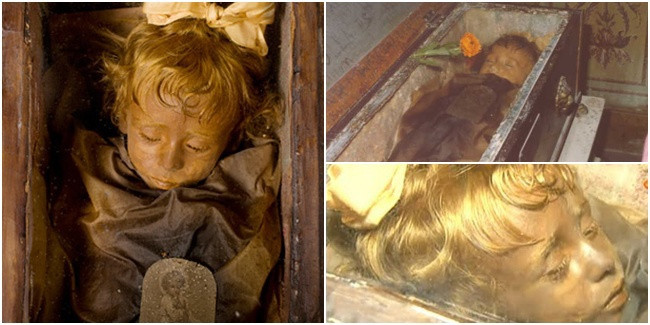 Trước sự việc trên, các chuyên gia, nhà khoa học đã tiến hành nghiên cứu.