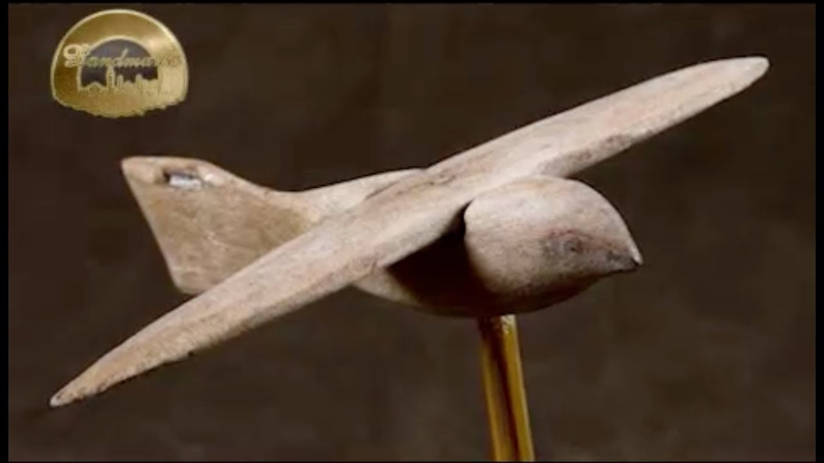 Các chuyên gia nhận thấy mỏ và mắt "chim Saqqara" giống như của con diều hâu. Phần đuôi của con chim bằng gỗ này khiến các chuyên gia "đau đầu" vì nó có hình vuông và thẳng đứng một cách kỳ lạ. Điều này khác hoàn toàn với những loài chim tự nhiên.