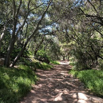 Khu rừng Elfin gắn liền với nhiều câu chuyện, giai thoại nổi tiếng. Trong số này có truyền thuyết nói về người Gypsy.