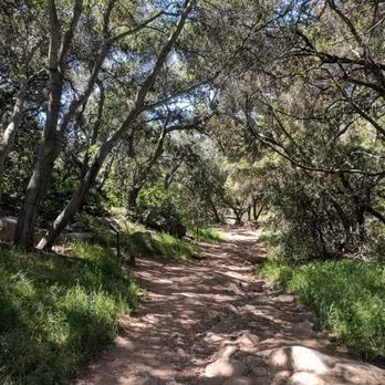 Khu rừng Elfin gắn liền với nhiều câu chuyện, giai thoại nổi tiếng. Trong số này có truyền thuyết nói về người Gypsy.