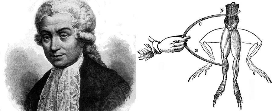 Điều này xuất phát từ việc Giovanni phát hiện ra cái gọi là “điện sinh vật” vào năm 1780. Cụ thể, nhà triết học Giovanni thực hiện thí nghiệm kích thích thần kinh cơ, trong đó có việc truyền dẫn điện vào đùi ếch trước khi rút ra kết luận rằng cơ thể sinh vật tồn tại một dòng điện.